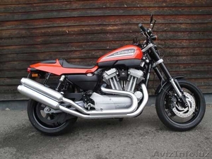 Harley-Davidson XR1200 Sportster                                                 - Изображение #1, Объявление #855124