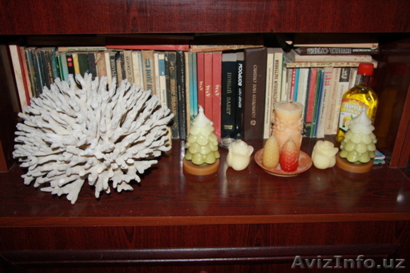 морской мир - Изображение #4, Объявление #1602718